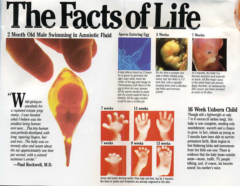 the facts of life-1